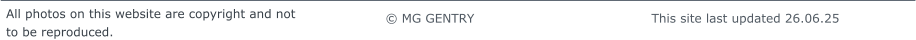 © MG GENTRY                                          This site last updated 26.06.25     All photos on this website are copyright and not  to be reproduced.